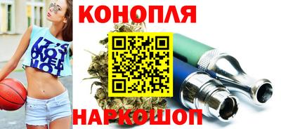 Альфа ПВП Гатчина