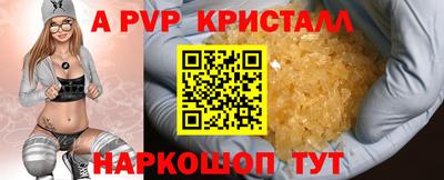 прущие крисы Гай