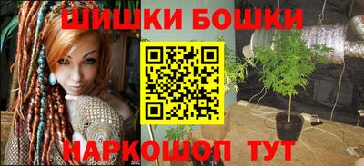 Альфа ПВП Гатчина