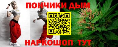 Альфа ПВП Гатчина