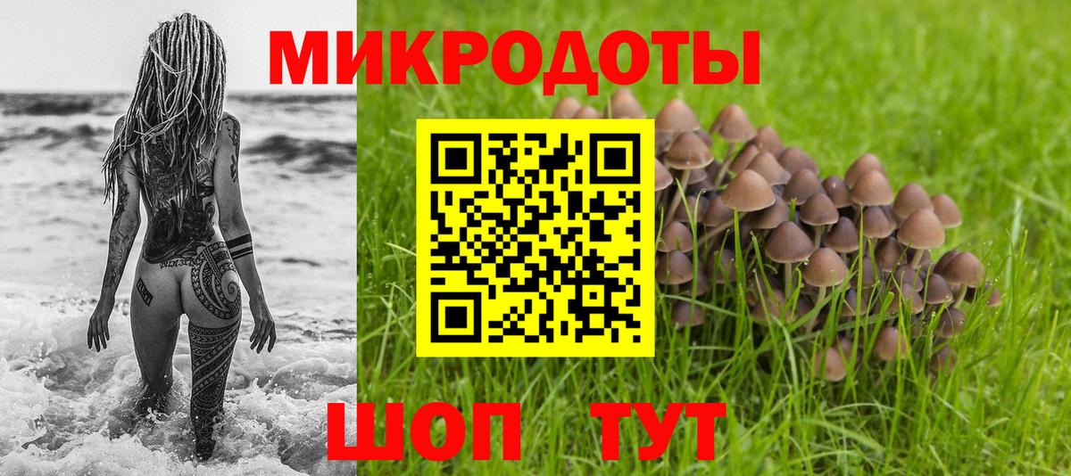 Галлюциногенные грибы прущие грибы  Дербент 