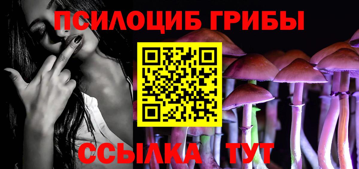 Дербент  Галлюциногенные грибы Psilocybine cubensis  Вход с VPN 