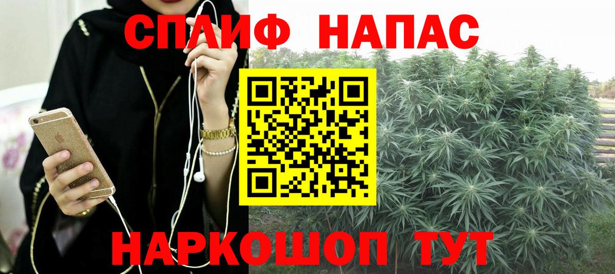 Каннабис марихуана  Каннабис White Widow  Канабис планчик  Каннабис план  Дербент 